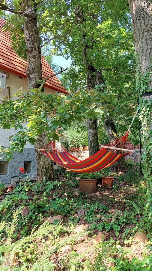 Villa Szepiheno Balatonszepezd Exterior foto